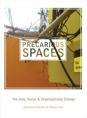Precarious Spaces(English, Hardcover, unknown)