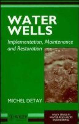 Water Wells(English, Paperback, Detay Michel)