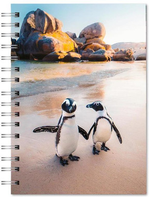 Family store spiral Pad Regular Notebook single Rule 300 Pages(Multicolor)