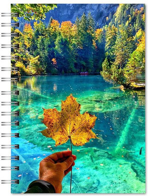 Family store spiral Pad Regular Notebook single Rule 300 Pages(Multicolor)