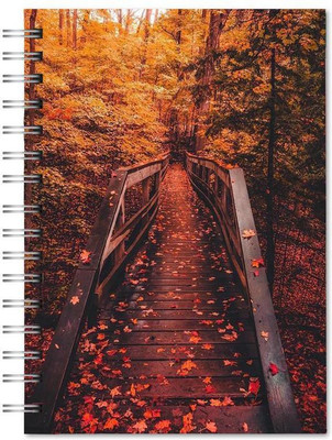 Family store spiral Pad Regular Notebook single Rule 300 Pages(Multicolor)