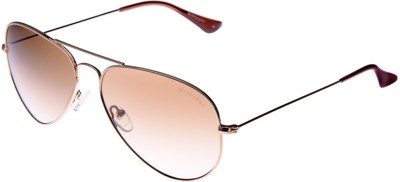 GIORDANO Aviator Sunglasses(For Men, Brown)