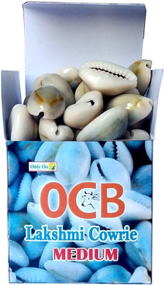 OCB Lakshmi Cowrie Color Grey MEDIUM SIZE Lakshmi Gavvalu Bhoora Cowrie Kawdi Kaudi Kowdi (21 Pieces) Porcelain Yantra(Pack of 1)