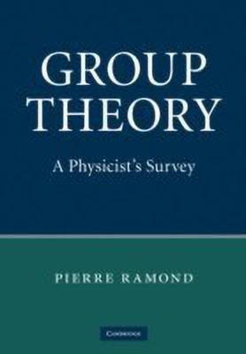 Group Theory(English, Hardcover, Ramond Pierre)
