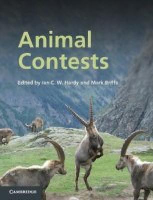 Animal Contests(English, Hardcover, unknown)