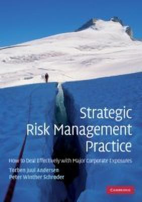 Strategic Risk Management Practice(English, Paperback, Andersen Torben Juul)