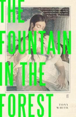 The Fountain in the Forest(English, Electronic book text, White Tony)