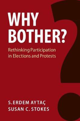Why Bother?(English, Hardcover, Aytac S. Erdem)