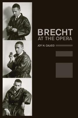 Brecht at the Opera(English, Paperback, Calico Joy H.)