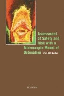 Assessment of Safety and Risk with a Microscopic Model of Detonation(English, Hardcover, Leiber C.-O.)