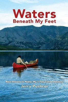Waters Beneath My Feet(English, Paperback, Pushcar Jerry)
