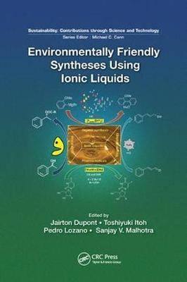 Environmentally Friendly Syntheses Using Ionic Liquids(English, Paperback, unknown)