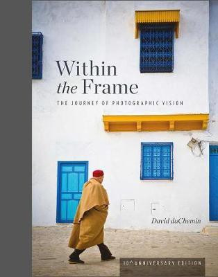 Within the Frame(English, Hardcover, Duchemin David)