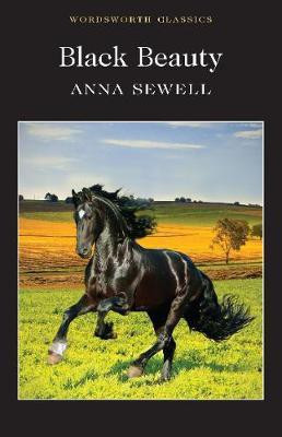 Black Beauty(English, Paperback, Sewell Anna)