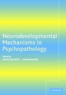 Neurodevelopmental Mechanisms in Psychopathology(English, Paperback, unknown)