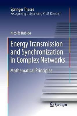 Energy Transmission and Synchronization in Complex Networks(English, Paperback, Rubido Nicolas)
