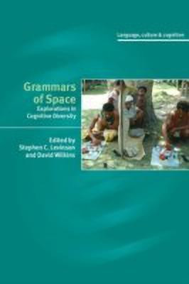 Grammars of Space(English, Paperback, unknown)