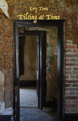Tilting at Time(English, Paperback, Tome Greg)