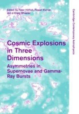 Cosmic Explosions in Three Dimensions(English, Hardcover, unknown)