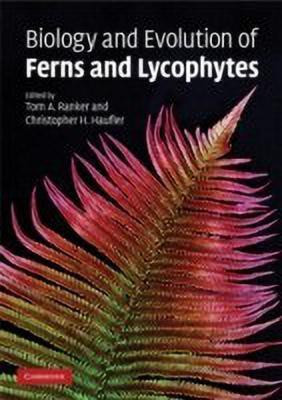 Biology and Evolution of Ferns and Lycophytes(English, Paperback, unknown)