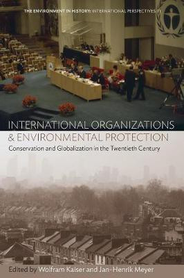 International Organizations and Environmental Protection(English, Paperback, unknown)