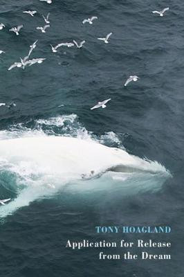 Application for Release from the Dream(English, Paperback, Hoagland Tony)