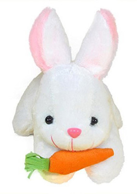 ANU TOYS Rabbit with Carrot Stuffed Soft Plush Toy, White 22cm Pack of 1  - 22 cm(White)