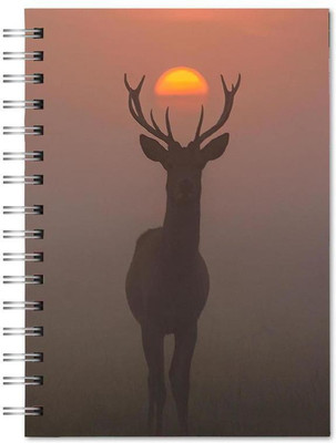 Family store spiral Pad Regular Notebook Single Rule 400 Pages(Multicolor)