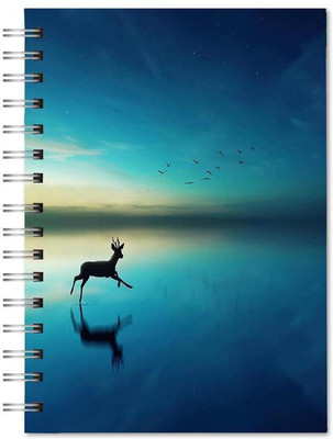 Family store spiral Pad Regular Notebook Single Rule 400 Pages(Multicolor)