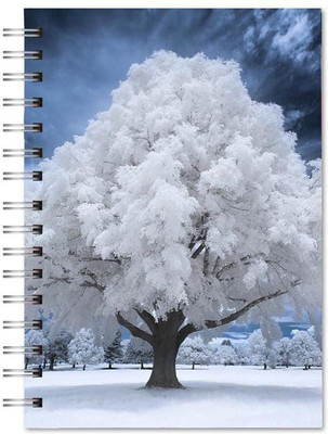 Family store spiral Pad Regular Notebook Single Rule 400 Pages(Multicolor)