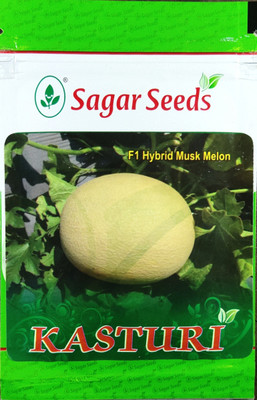 SAGAR F-1 HYBRID MUSK MELON Seed(465 per packet)