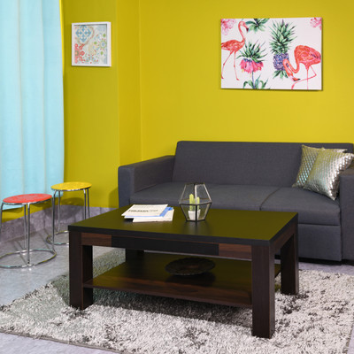 Zuari by Forte Legnica Engineered Wood Coffee Table(Finish Color - Oak Durance/Black Oak)