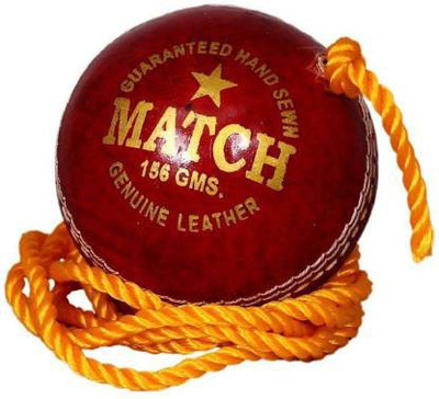 Dinetic Practice Leather Hanging Coaching Cricket Ball Cricket Leather Ball(Standard, Pack of 1, Red)