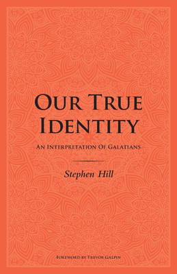 Our True Identity(English, Paperback, Hill Stephen)