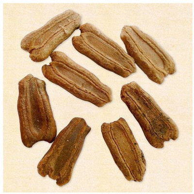 BDSresolve Hybrid round bottle gourd seeds PACK OF 37 Seed(37 per packet)