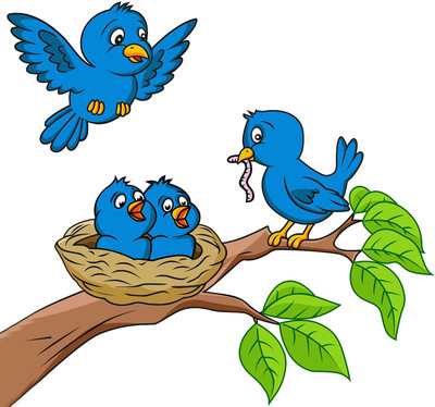 Aquire 70 cm Adorable Blue Birds Feeding Baby Room Self Adhesive Sticker(Pack of 1)