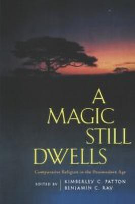 A Magic Still Dwells(English, Paperback, unknown)