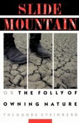 Slide Mountain(English, Paperback, Steinberg Theodore)