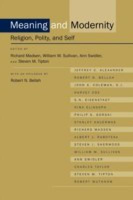 Meaning and Modernity(English, Paperback, unknown)