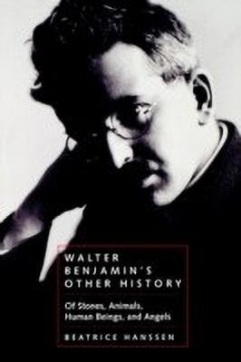 Walter Benjamin's Other History(English, Paperback, Hanssen Beatrice)