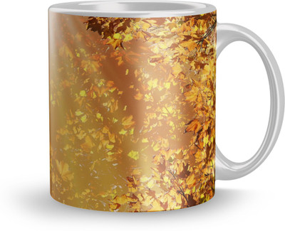 THE SD STORE MUG965 Glass Coffee Mug(320 ml)