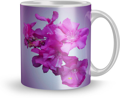 THE SD STORE MUG945 Glass Coffee Mug(320 ml)