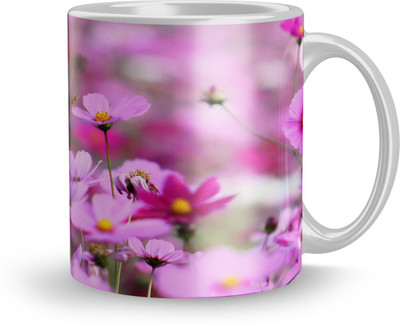 THE SD STORE MUG914 Glass Coffee Mug(320 ml)