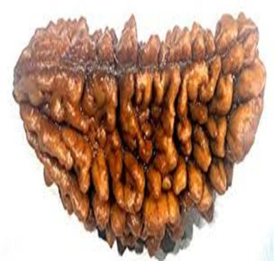 om rudraksha 1 mukhi rudraksha Wood