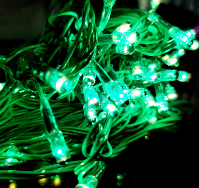 Ascension 28 LEDs 10 m Green Steady String Rice Lights(Pack of 6)