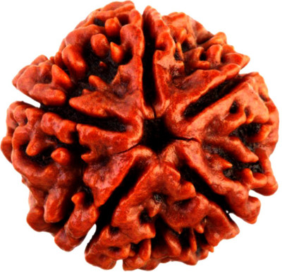 vastu nakshatra 5 mukhi rudraksha Brass Brass Pendant