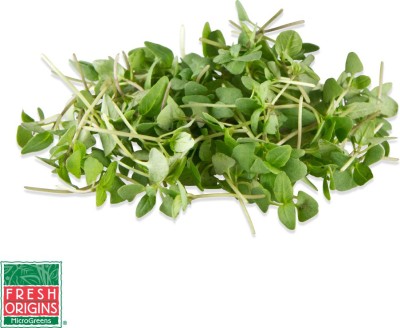 Airex Basil (Thai Basil) Microgreen Seeds - Pack Of AVG 30 - 50 Seeds x 1 Packet Seed(30 per packet)