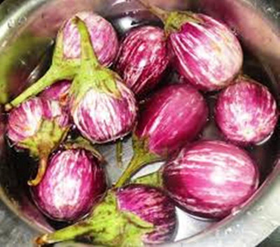 Pensare Brinjal Seed(25 per packet)