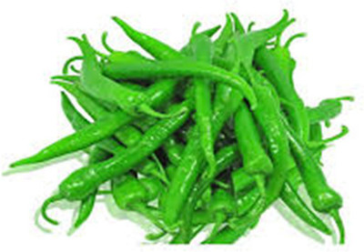 Pensare CHILLI Seed(25 per packet)