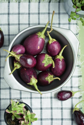 Pensare Brinjal Seed(25 per packet)